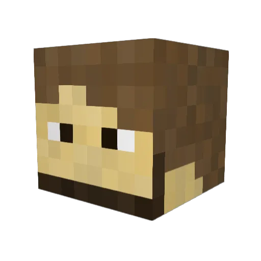 CaptainFlexxx Minecraft avatar head, 3D render