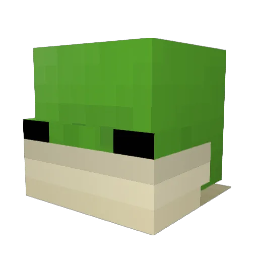 CaptainFroggieG Minecraft avatar head, 3D render