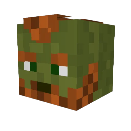 CaptainFroppy Minecraft avatar head, 3D render