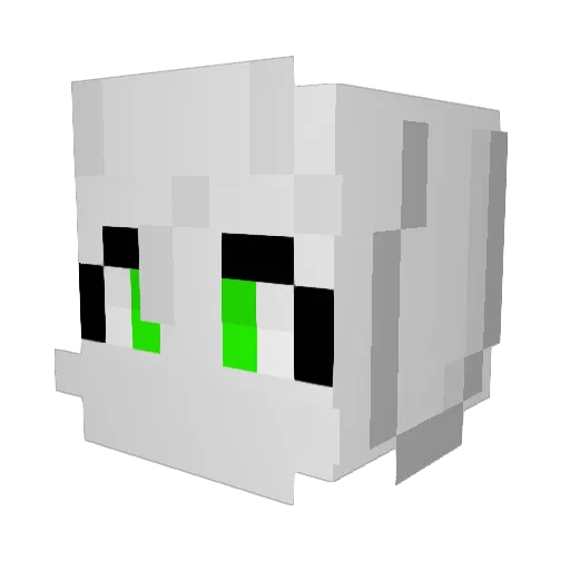 CaptainHogan Minecraft avatar head, 3D render