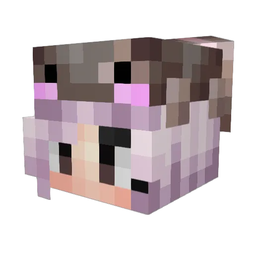 CaptainJaneCarri Minecraft avatar head, 3D render