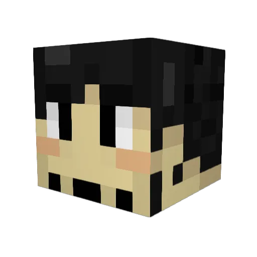 CaptainKahuna Minecraft avatar head, 3D render