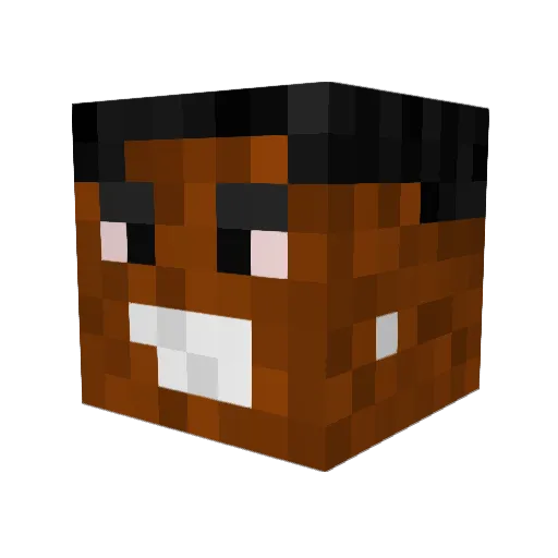 CaptainKrunkle Minecraft avatar head, 3D render