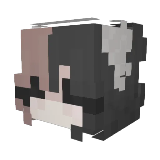 CaptainKylo Minecraft avatar head, 3D render