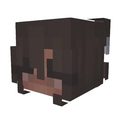 CaptainL3vi Minecraft avatar head, 3D render