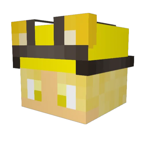 CaptainLionAYI Minecraft avatar head, 3D render