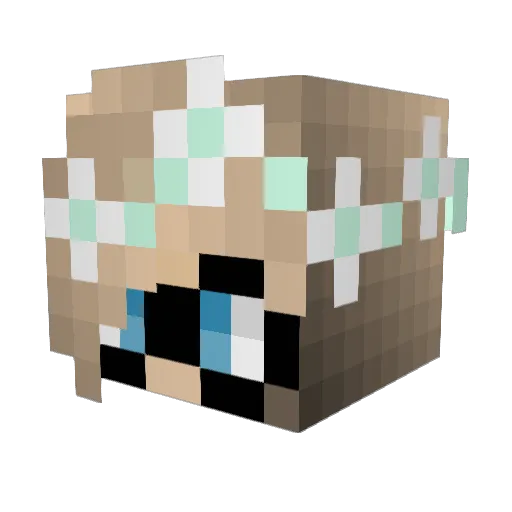 CaptainMCNinja Minecraft avatar head, 3D render