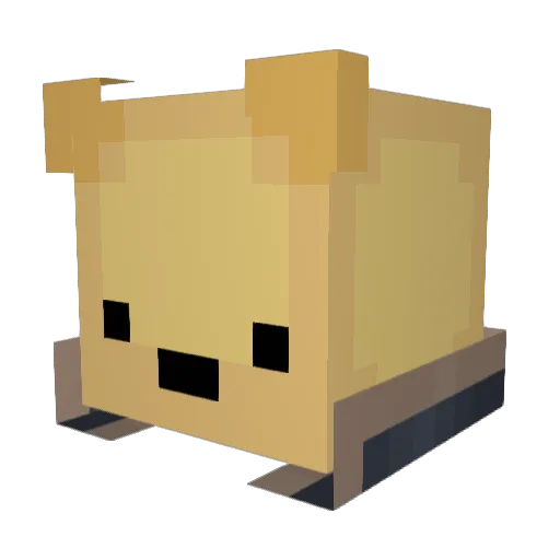 CaptainMeeuwman Minecraft avatar head, 3D render