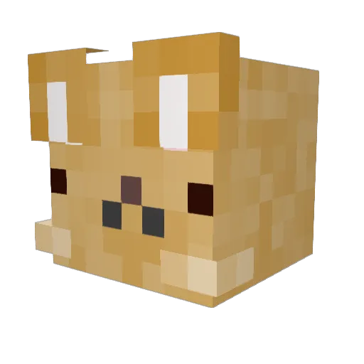 CaptainMira26 Minecraft avatar head, 3D render