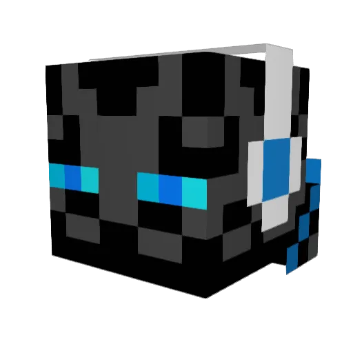 CaptainNemo2004 Minecraft avatar head, 3D render
