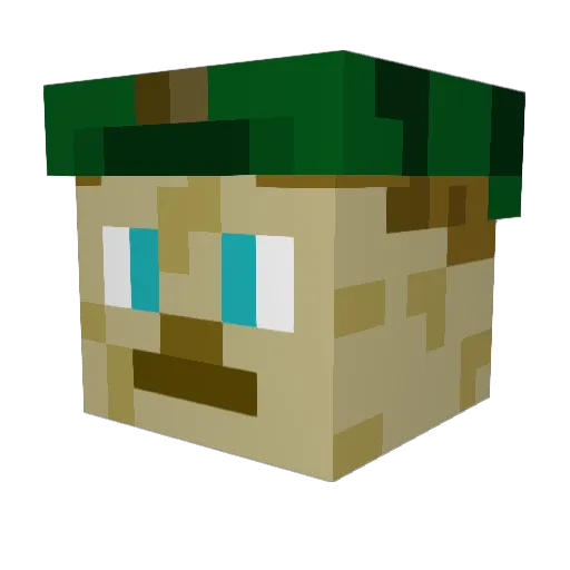 CaptainObvious12 Minecraft avatar head, 3D render