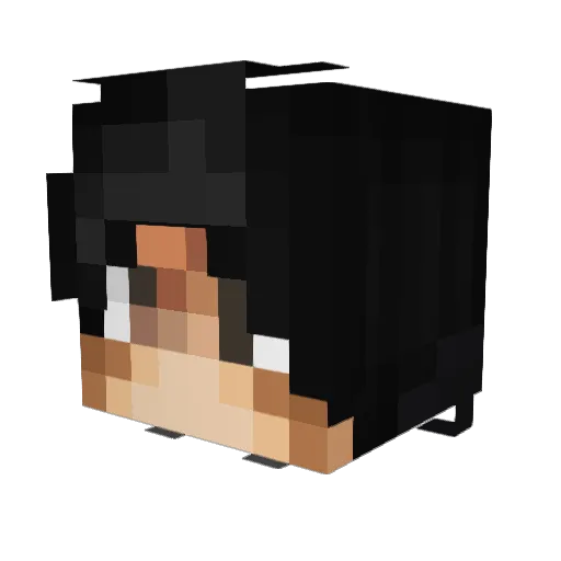 CaptainPepega_ Minecraft avatar head, 3D render