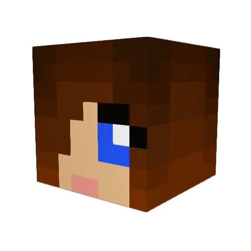 CaptainPirateRum Minecraft avatar head, 3D render