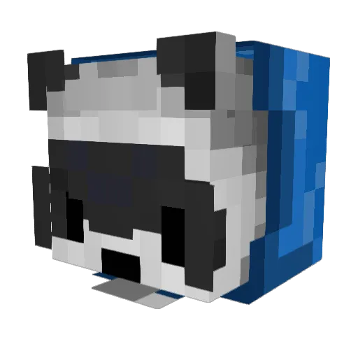 CaptainRaccon Minecraft avatar head, 3D render
