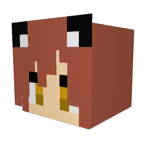CaptainRainbow04 Minecraft avatar head, 3D render