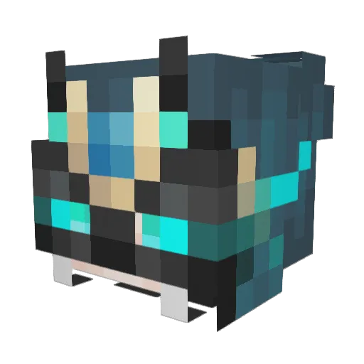 CaptainRex605 Minecraft avatar head, 3D render