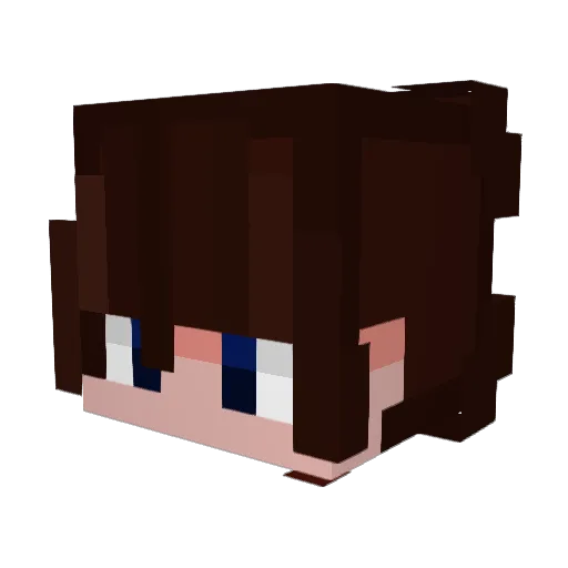 CaptainSDM Minecraft avatar head, 3D render