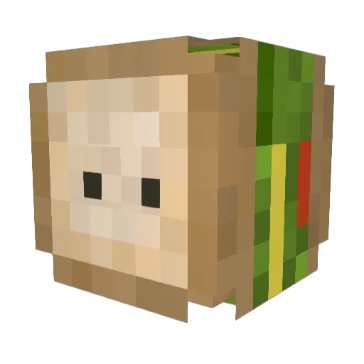 CaptainSammich Minecraft avatar head, 3D render