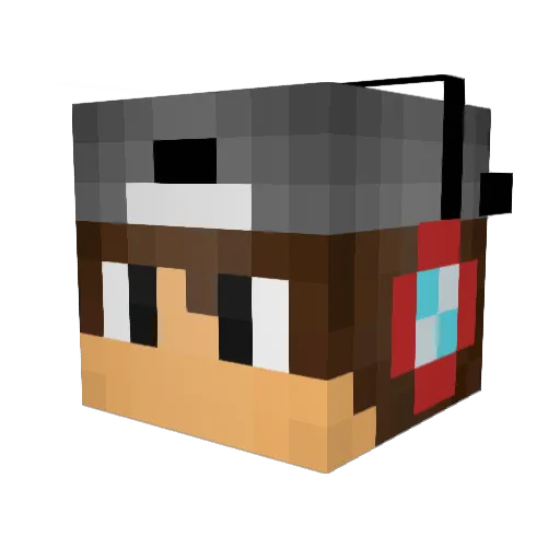 CaptainSkeletor Minecraft avatar head, 3D render