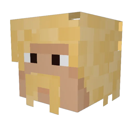 CaptainSternn Minecraft avatar head, 3D render