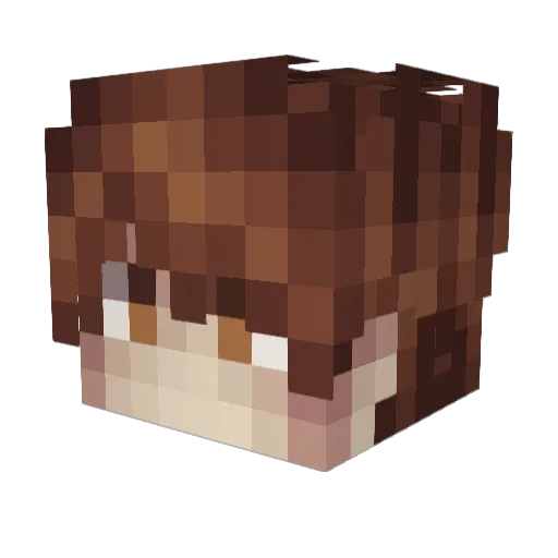 CaptainSummit Minecraft avatar head, 3D render