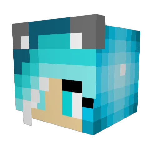 CaptainTerror052 Minecraft avatar head, 3D render