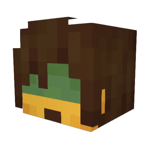 CaptainToad13 Minecraft avatar head, 3D render