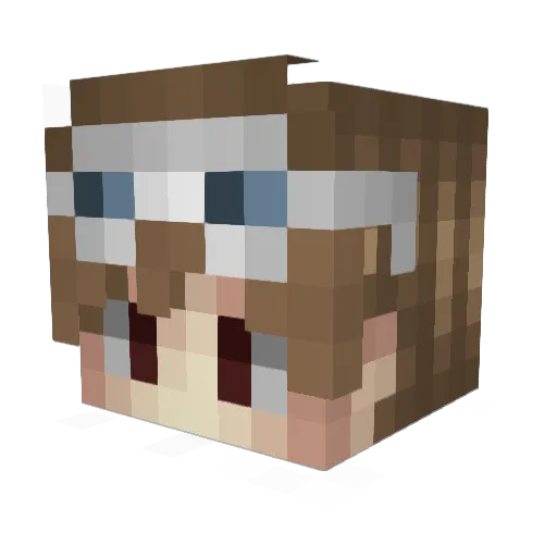 CaptainTopi Minecraft avatar head, 3D render
