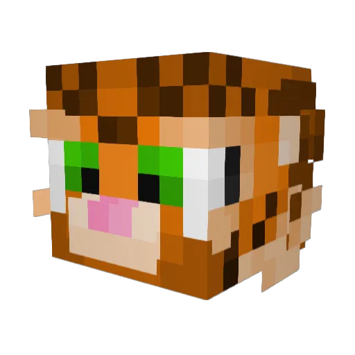 CaptainTy4565 Minecraft avatar head, 3D render