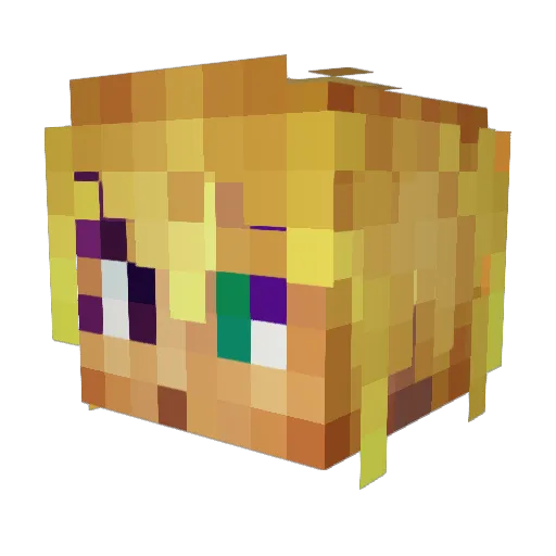 CaptainUnderage Minecraft avatar head, 3D render