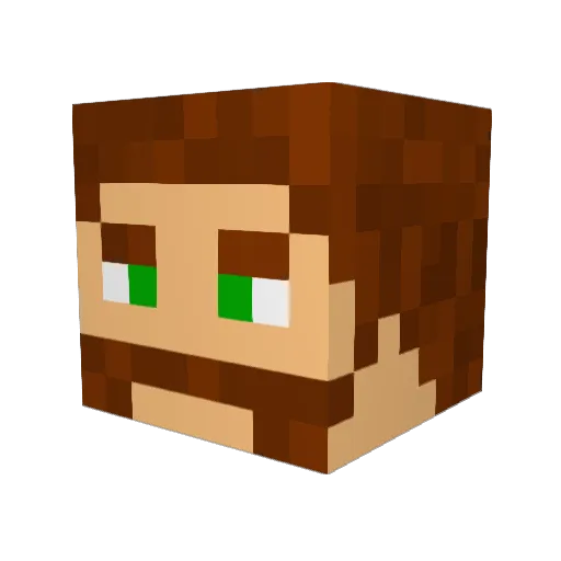 CaptainWafflezz Minecraft avatar head, 3D render