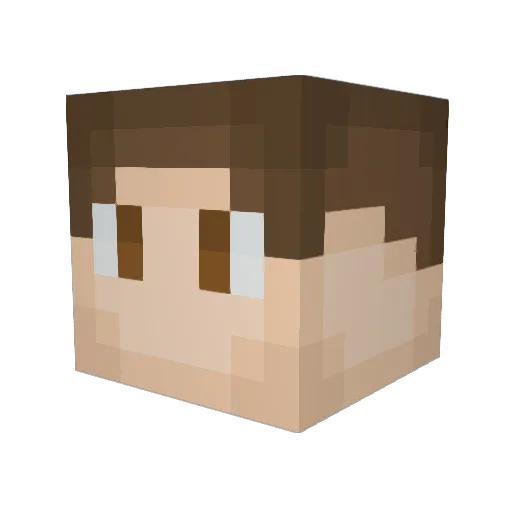 CaptainWaverider Minecraft avatar head, 3D render