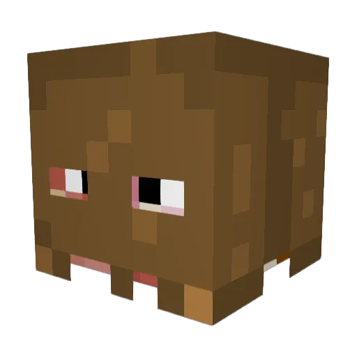 CaptainWyde Minecraft avatar head, 3D render