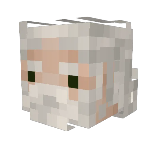 CaptainZoomer10 Minecraft avatar head, 3D render