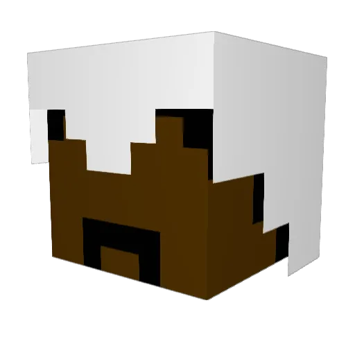Captain_BillS Minecraft avatar head, 3D render