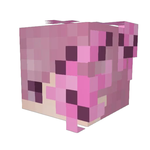 Captain_Coco Minecraft avatar head, 3D render
