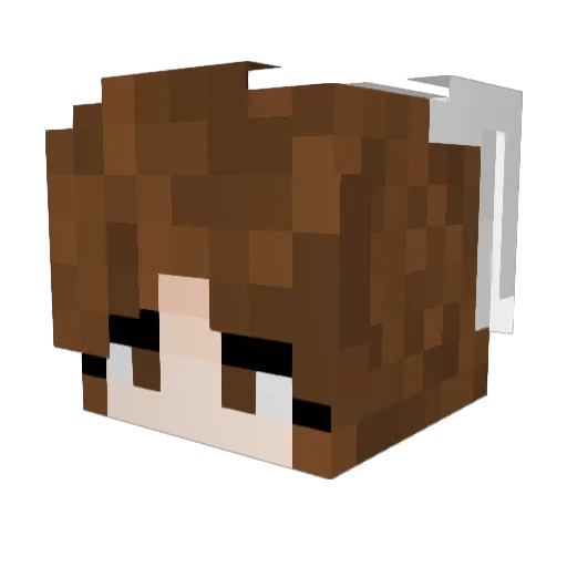 Captain_Elephant Minecraft avatar head, 3D render