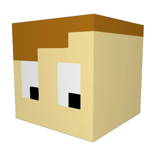 Captain_Irish Minecraft avatar head, 3D render