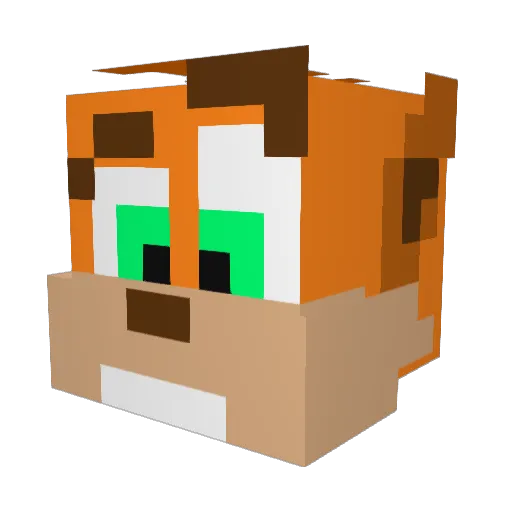 Captain_Kangaroo Minecraft avatar head, 3D render