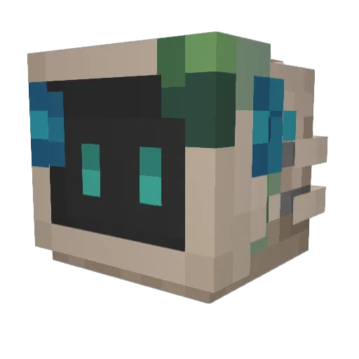 Captain_Kiwii Minecraft avatar head, 3D render