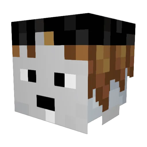 Captain_Leo11 Minecraft avatar head, 3D render