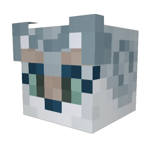 Captain_Mae Minecraft avatar head, 3D render