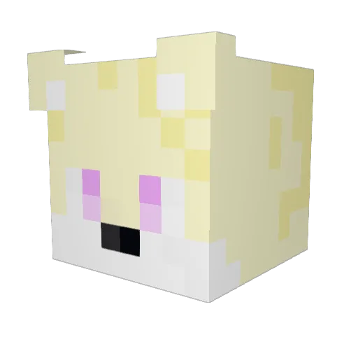 Captain_Orca Minecraft avatar head, 3D render
