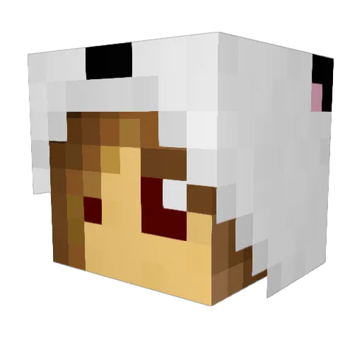 Captain_Pandaz Minecraft avatar head, 3D render