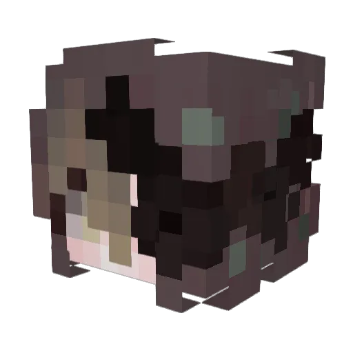 Captain_Peachy Minecraft avatar head, 3D render