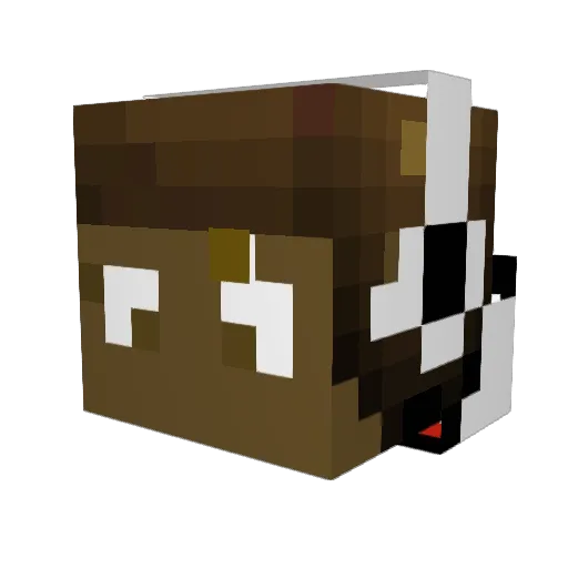 Captain_Poodles Minecraft avatar head, 3D render