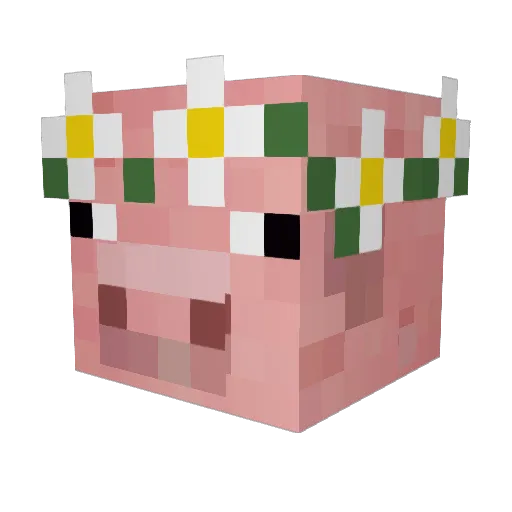 Captain_Rex_PL Minecraft avatar head, 3D render