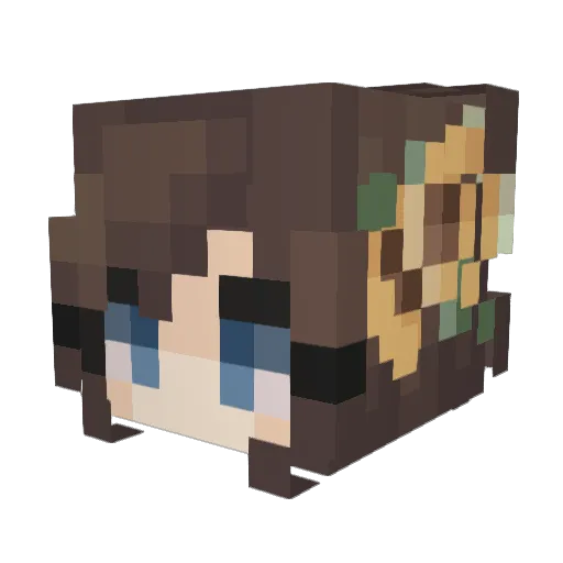 Captain_Selkie Minecraft avatar head, 3D render