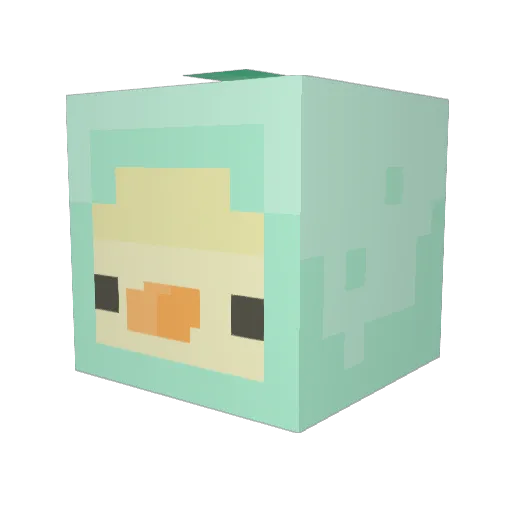Captain__Stinker Minecraft avatar head, 3D render