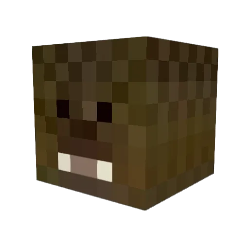 Captain_green1 Minecraft avatar head, 3D render